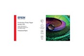 Papper, Fotopapper & Etiketter - Epson Production - photo paper - glossy - 1 roll(s) - Roll (111.8 cm x 30 m) - 200 g/m² - C13S450373