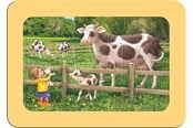 Pusselspel - Ravensburger Exploring The Farm 3x6p - 05679