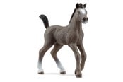 Schleich - Schleich Cheval de Selle föl - 13957