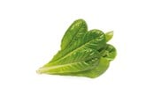 Smarta Hem - Click & Grow Smart Garden Refill 3-pack - Romaine Lettuce - SGR50X3