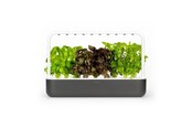 Smarta Hem - Click & Grow Smart Garden 9 Starter kit - SG9S8UNI