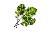 Smarta Hem - Click & Grow Smart Garden Refill 3-pack - Red Kale - SGR47X3