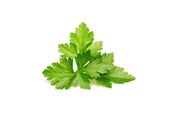 Smarta Hem - Click & Grow Smart Garden Refill 3-pack - Cilantro/Coriander - SGR45X3