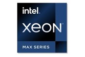 CPU - Intel Xeon CPU Max 9462 / 2.7 GHz processor - OEM CPU - 32 kärnor - 2.7 GHz - Intel FCLGA4677 - Bulk (utan kylare) - PK8071305223900