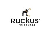 Tjänster och support - Ruckus Wireless Ruckus End User WatchDog Premium Support - S01-VSPT-1000