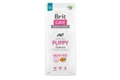 Hundar - Brit Care Dog Grain-free Puppy Salmon 12 kg - BH3401200