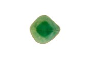 Kökstillbehör - Costa Nova Mini bowl leaf Riviera 11 x 10 x 3 cm Green/Black Ceramic - 22686