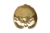 Bordsdukning - Costa Nova Plate water lily pad Riviera 18 x 17 cm Golden Ceramic - 22710