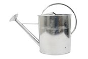 Trädgårdsvattning - Home>it Watering Can with Spreader 10 liters Galvanized - 91506