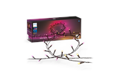 Smarta Hem - Philips Hue Festavia ljusslingor för utomhusbruk (500 LED) – White & Color Ambiance - 929003674602