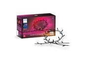 Smarta Hem - Philips Hue Festavia ljusslingor för utomhusbruk (250 LED) – White & Color Ambiance - 929003674402