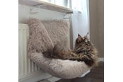 Katter - Dogman Mysig elementbädd för katter - 804961