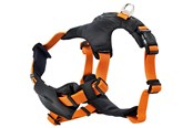 Hundar - Dogman Sportsele Emmi orange XL - 213707