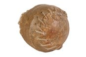 Hundar - Trixie Chew ball 8cm - TX2673