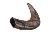 Hundar - Trixie Buffalo Chewing Horn packaged medium - TX27742