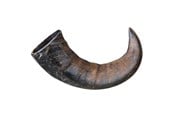 Hundar - Trixie Buffalo Chewing Horn packaged large - TX27743