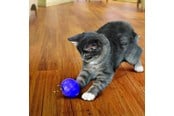 Katter - KONG Cat Treat Dispensing Ball 7.5cm - 340335