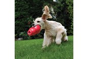 Hundar - KONG Dog Toy Bounzer Medium 15cm - 340374