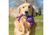 Hundar - KONG Hundleksak Wubba Assorted Colors Large 32cm - 340461