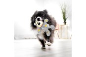 Hundar - KONG Hundleksak Wild Knots Bear Blandade Färger XS 10cm - 340492