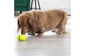 Hundar - KONG Hundleksak AirDog Squeaker Football Small 8cm - 340528