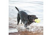 Hundar - KONG Hundleksak AirDog Squeaker Football Large 16.5cm - 340529