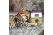 Katter - KONG Naturals Premium Catnip 28g - 340628