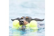 Hundar - KONG Hundleksak AirDog Squeaker Bone 11cm - 340912
