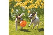 Hundar - KONG Dog Toy Jumbler Ball Medium/Large 14cm - 340917