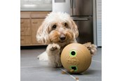 Hundar - KONG Dog Toy Bamboo Feeder Dumbbell M - 340925