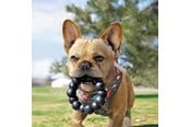 Hundar - KONG Dog Toy Extreme Ring XL 13cm - 340926