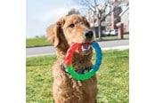 Hundar - KONG Dog Toy Twistz Ring Small 17cm - 340938