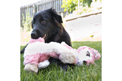 Hundar - KONG Dog Toy Low Stuff Flopzie Fox 48cm - 340972