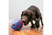Hundar - KONG Activation Toy Rewards Wally - 341014