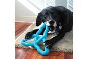 Hundar - KONG Dog Toy Flyangle Assorted Colors Large - 341015