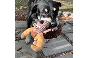 Hundar - KONG Dog Toy Sherps Floofs Moose 25cm - 341018