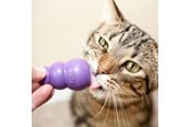 Katter - KONG Kitty Kong - 341104