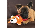 Hundar - KONG Dog Toy Cozie Pocketz Beaver Medium 33cm - 341128