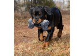 Hundar - KONG Dog Toy Maxx Bone Small/Medium 28cm - 341189