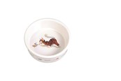 Katter - Trixie Ceramic Bowl Ø11 - TX4007