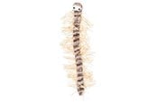 Katter - Trixie Centipede 33 cm - TX45596