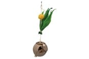 Fågelleksaker - Trixie Coconut on sisal rope 35 cm - TX58920