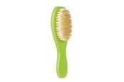 Gnagare - Trixie Wooden Brush 5 x 18 cm - TX6289