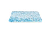 Gnagare - Trixie Cooling Plate 20x15 cm blue - TX63011