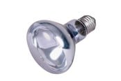 Uppvärmning/Ljus - Trixie Neodymium Basking Spot-Lamp 100W R80 E27 - TX76008