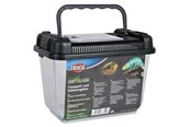 Terrarium och tillbehör - Trixie Transport and Feeding Box 19x14x12 assorted colours - TX76300