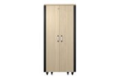 Rack chassis - APC NetShelter - rack (horizontal) - soundproof - 32U - AR4032IA
