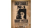Pusselspel - Thumbs Up! Harry Potter "Wanted No. 1" Puzzle - 8435450255397