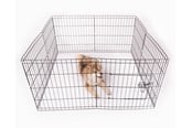 Hundar - Active Canis Valphage och hundinhägnad 122x122x61cm - T6845