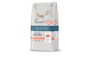 Hundar - Quattro Super Premium all breed Salmon 12kg - 13058